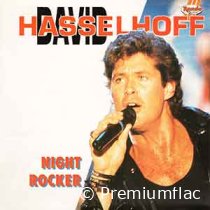 David-Hasselhoff-Night-Rocker-small