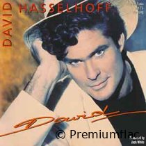 David-Hasselhoff-David-small