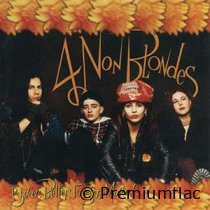 4-Non-Blondes-Bigger,-Better,-Faster,-More!-small