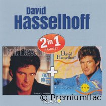 David-Hasselhoff-2in1-(Sparset)-small