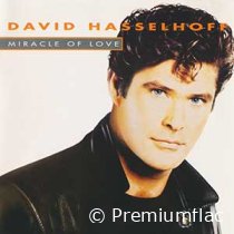 David-Hasselhoff-Miracle-Of-Love-small