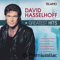 David-Hasselhoff-Greatest-Hits-small