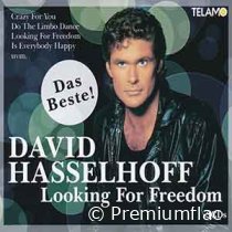 David-Hasselhoff-Looking-For-Freedom-(Das-Beste)-small