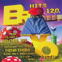 Bravo-Hits-Vol.-120-small