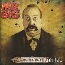 Mr.-Big-The-Stories-We-Could-Tell-small