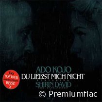 Ado-Kojo-Feat.-Shirin-David-Du-Liebst-Mich-Nicht-small