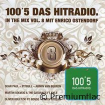 100,5-Das-Hitradio-In-The-Mix-Vol.-08-small