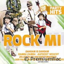 20-Party-Hits-(Rock-Mi)-small