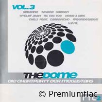 The-Dome-Vol.-03-small