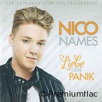 Nico-Names-Liebe-Oder-Panik-small