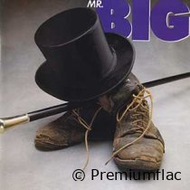 Mr.-Big-Mr.-Big-small