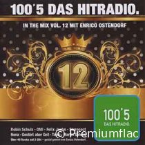 100,5-Das-Hitradio-In-The-Mix-Vol.-12-small