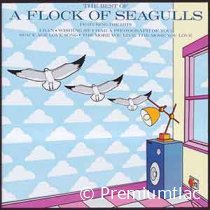 A-Flock-Of-Seagulls-The-Best-Of-A-Flock-Of-Seagulls-small