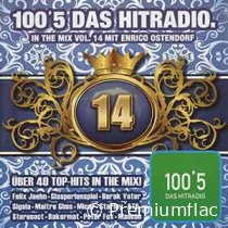 100,5-Das-Hitradio-In-The-Mix-Vol.-14-small