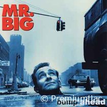 Mr.-Big-Bump-Ahead-small