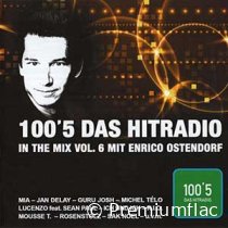 100,5-Das-Hitradio-In-The-Mix-Vol.-06-small