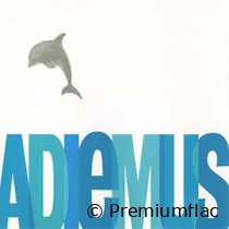 Adiemus-Adiemus-small