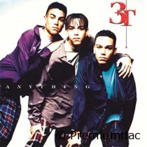 3T-Anything-small