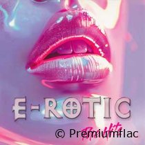 E-Rotic-The-Hits-small