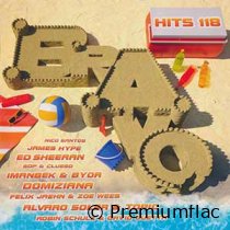 Bravo-Hits-Vol.-118-small