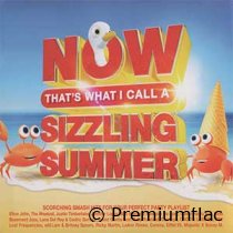 Now-That's-What-I-Call-(A-Sizzling-Summer)-small