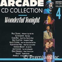 Arcade-CD-Collection-Vol.-04-(Wonderful-Tonight)-small