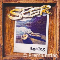 Seer-Analog-small