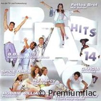 Bravo-Hits-Vol.-14-small