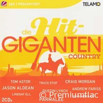 Die-Hit-Giganten-(Country)-small