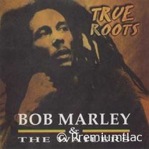 Bob-Marley-&-The-Wailers-True-Roots-small