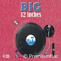 Big 12 Inches - Vol. 07 (50 Hot 12'' Remixed Versions)