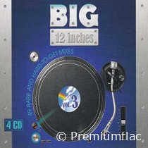 Big 12 Inches - Vol. 03 (49 Rare And Hard-To-Get Mixes)