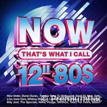 Now That's What I Call (12'' 80s)