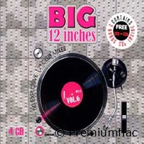 Big 12 Inches - Vol. 06 (50 Explosive 12'' Club Mixes)