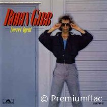 Robin Gibb - Secret Agent