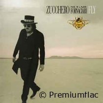 Zucchero Sugar Fornaciari - Fly