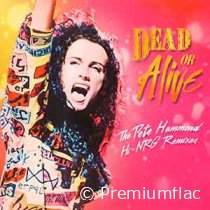 Dead Or Alive - The Pete Hammond Hi-NRG Remixes