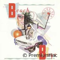 The Beach Boys - Made in U.S.A.